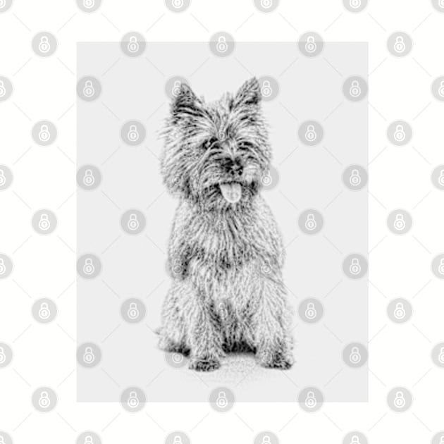 Cairn Terrier - 3a by Avalinart