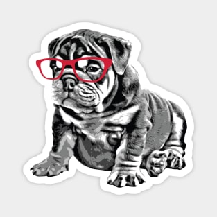 Bulldog Puppy Nerd Red Glasses Magnet