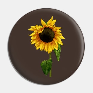 Sunflowers - Sunflower With Peakaboo Bangs Pin