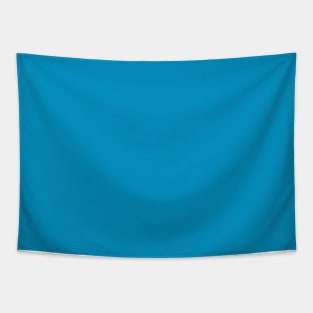 Cerulean Blue Solid Color Tapestry