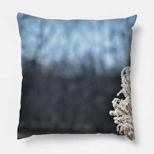 Pampas Grass Head Pillow