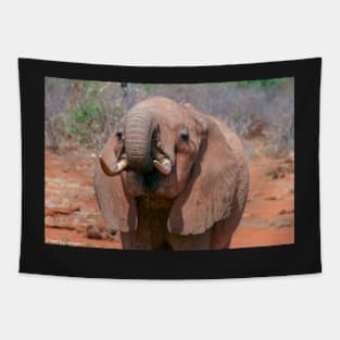 Elephant Feeding Tapestry