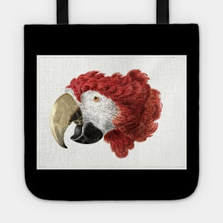 wild animals Tote