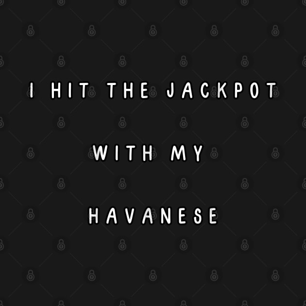 I hit the jackpot with my Havanese by Project Charlie