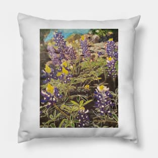 Texas Bluebonnet Season Pillow