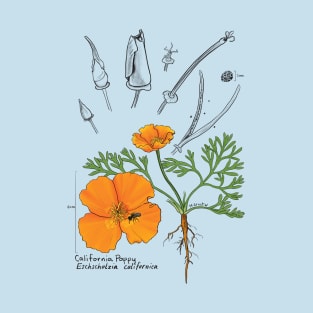 California Poppy Botanical - teal T-Shirt