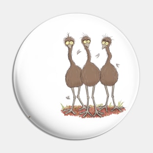 Funny Australian emu trio cartoon illustration Pin