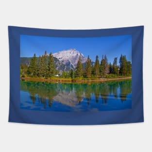 Canada. Alberta. Canadian Rockies. Environs of Banff town. Tapestry