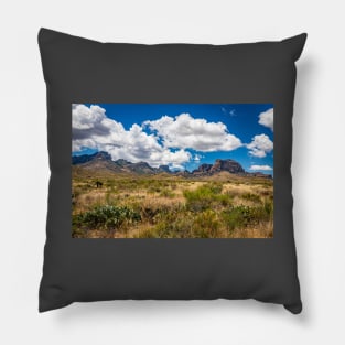 Big Bend National Park Sign Pillow