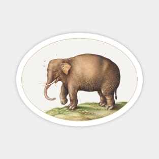 Elephant with Insects (1575–1580) Magnet