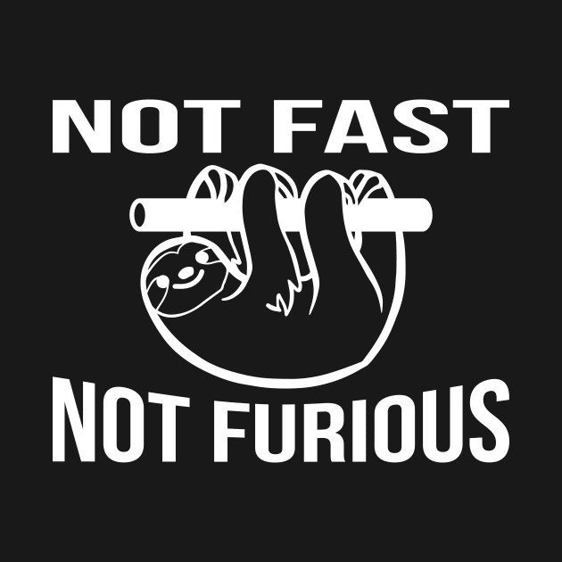 Not Fast, Not Furious sarcastic joke by RedYolk