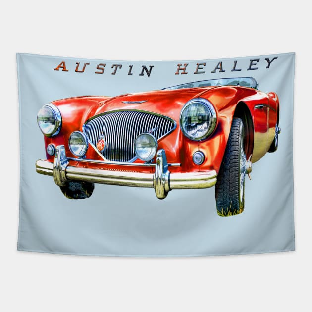 Austin Healey 100 Tapestry by Midcenturydave