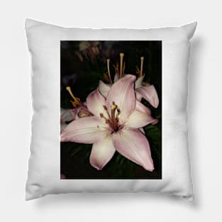 Lavender stargazer lily Pillow