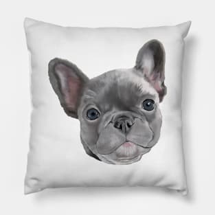 French Bulldog Puppy on White Pillow