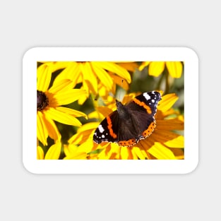 Red Admiral;Yellow Flower Magnet