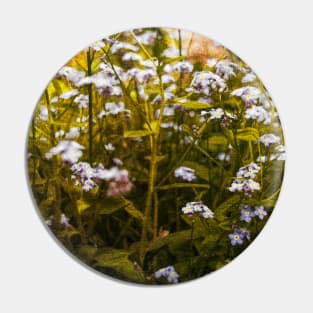 Forget-me-nots on canvas Pin