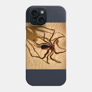 A Monster Huntsman Spider on the Hunt! Phone Case