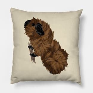 Nice Artwork showing a californian-colored Abyssinian Guinea Pig III Pillow