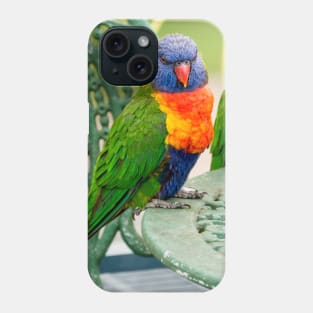 Rainbow Lorikeets Phone Case