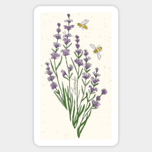 Lavender Twice Sticker for Sale by valeriehoffmann