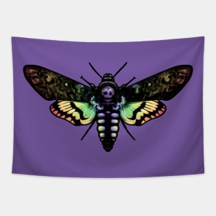 Rainbow Moth Tapestry