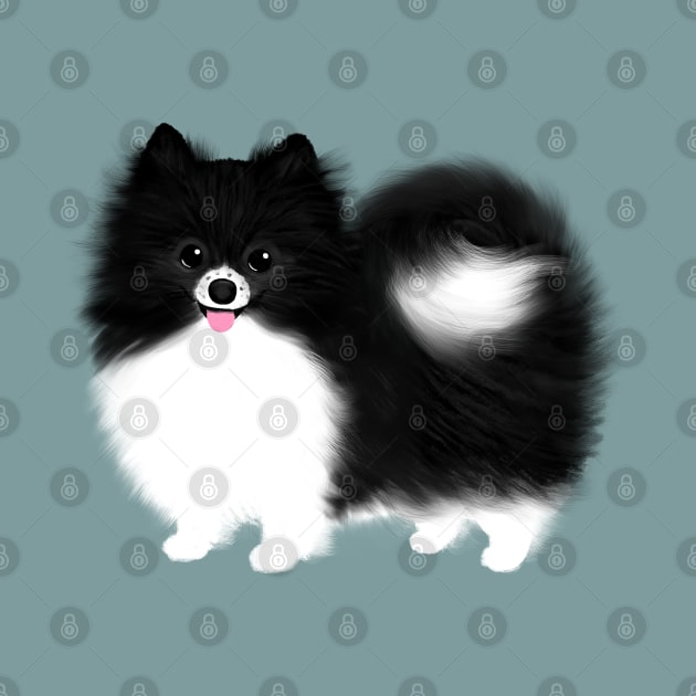 Black and White Pomeranian by Coffee Squirrel