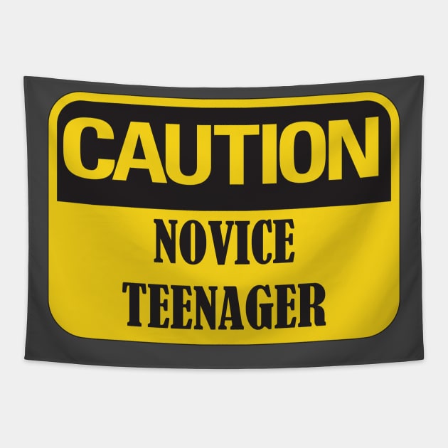 Caution Novice Teenager, Funny 13th Birthday Gift Idea Tapestry by Rossla Designs