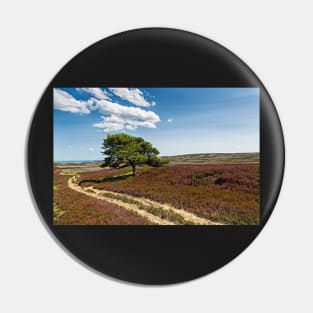 Lone Pine - Burnhope Moor Pin