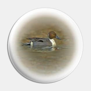 Northern pintail Pin