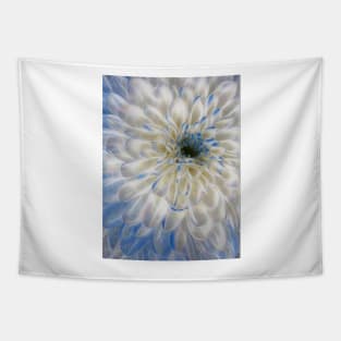 closeup macro photography of white and blue coloured dahlia bloom Tapestry