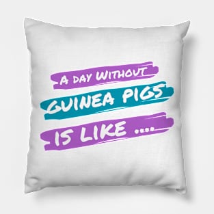 A Day Without Guinea Pigs Is Like .... Pillow