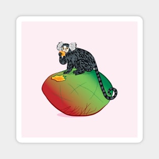 The Marmoset and the Mango Magnet