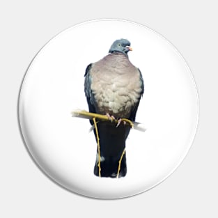 Pigeon Perch Pin