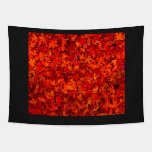 Autumn leaves Tapestry