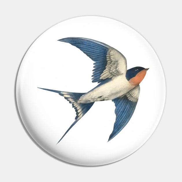 Barn Swallow Pin by Terry Fan