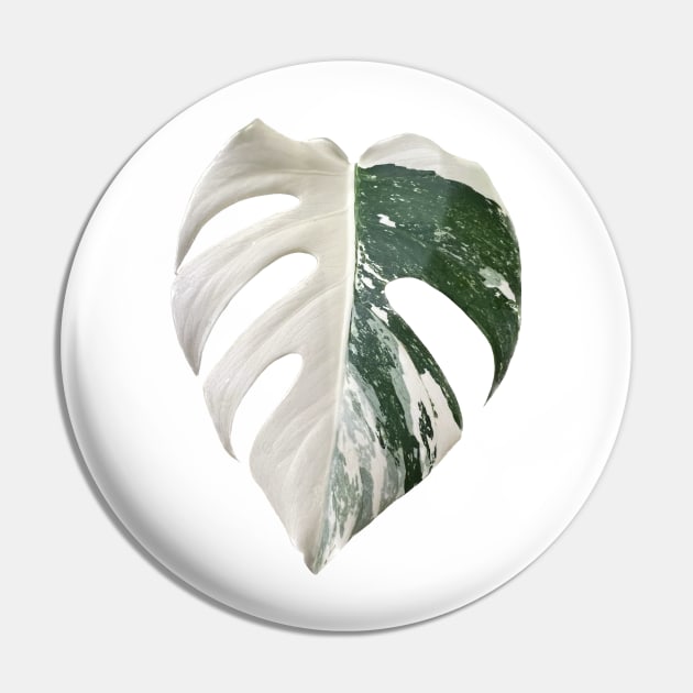 Marbled Monstera Albo Finestrated Design Pin by barkNbloom