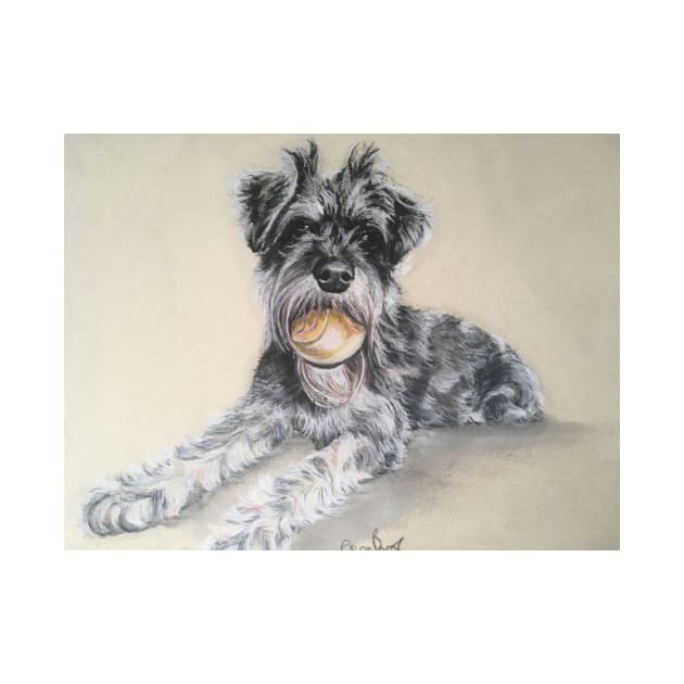 Miniature Schnauzer with ball by Merlinsmates