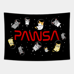 Funny Space Astronaut Cat Gifts Men Women Kids Cats Space Tapestry