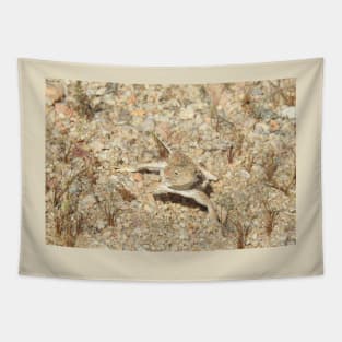 Horned lizard, horny toad, Naturally Disguised Tapestry