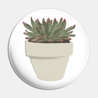 CNS Echeveria Peacockii Pin