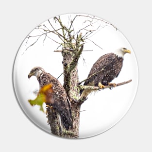 The Eagle's Perch Pin