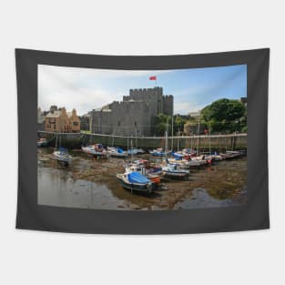 Castle Rushen Tapestry