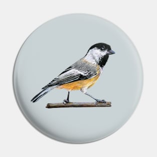 Chickadee drawing 3 (no background) Pin