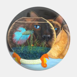 Siamese Cat Looking Through a Fishbowl at a Betta Fish. Pin