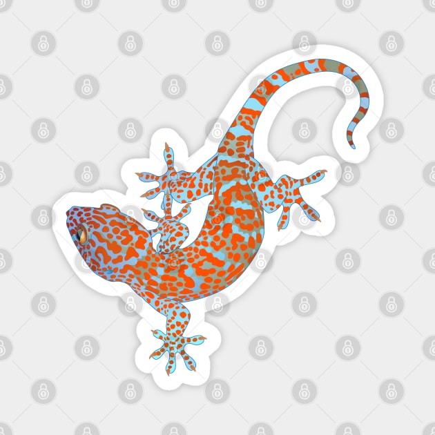 Tokay Gecko Magnet by ziafrazier