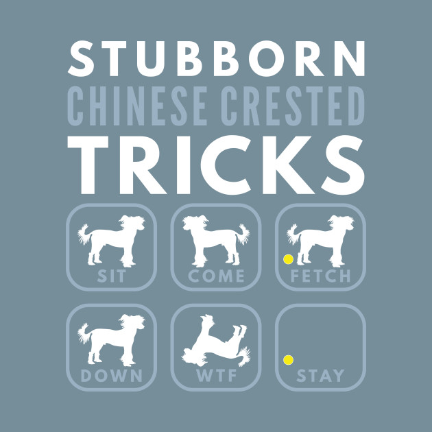 Disover Stubborn Chinese Crested Tricks - Dog Training - Chinese Crested - T-Shirt