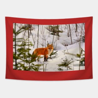 Winter Fox Tapestry