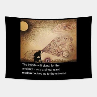 The Infinite WI FI Signal Tapestry