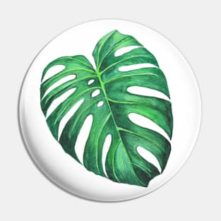 Monstera leaf tropical watercolor illustration Pin