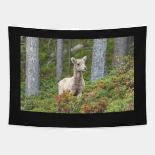 Bighorn Lamb Tapestry